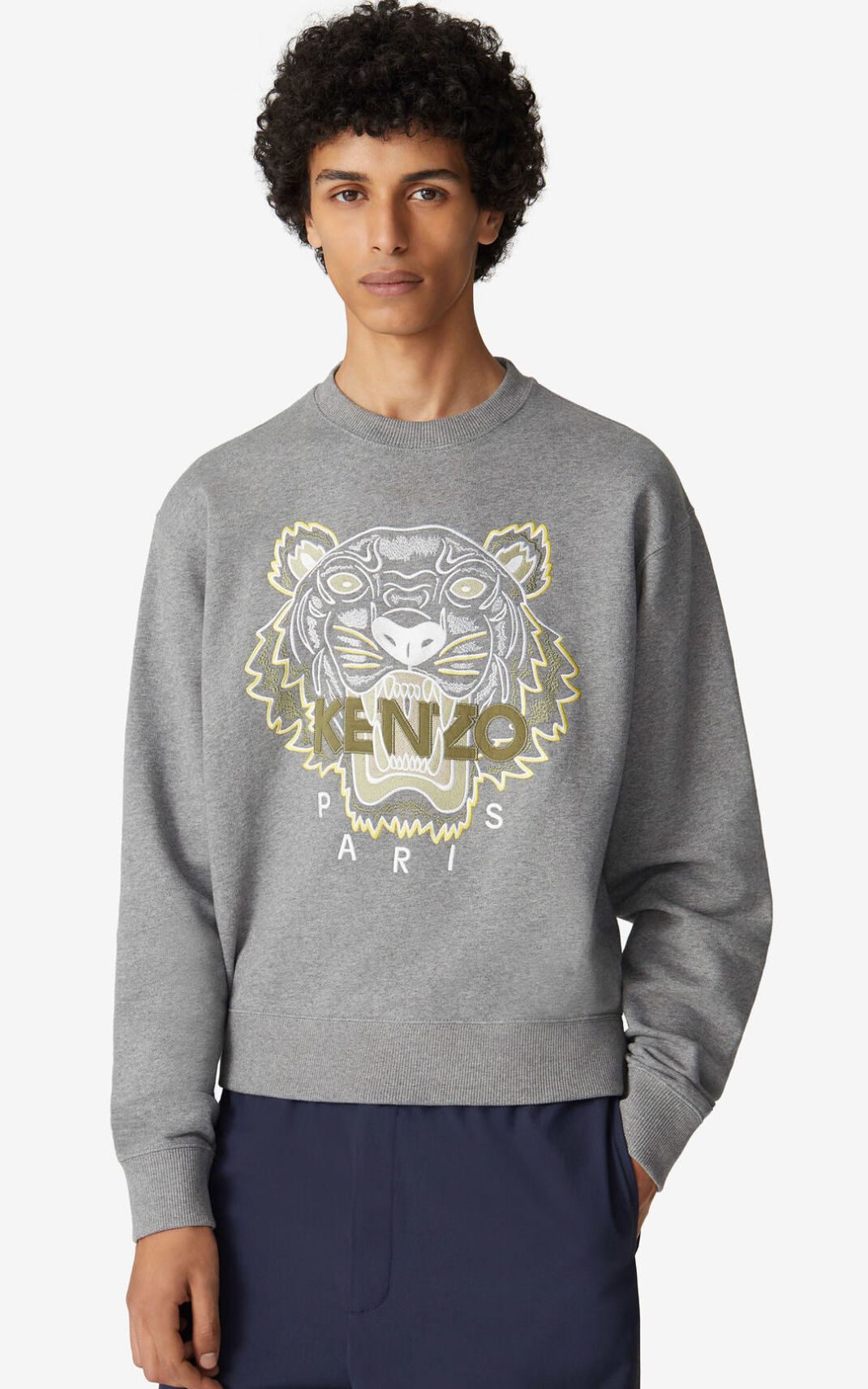 Sweatshirt Kenzo Tiger Masculino - Cinzentas | 024DWNJKC